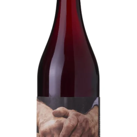 Growers Touch Pinot Noir